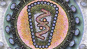 Microscopic visualization of the Human Immunodeficiency Virus (HIV), illustrating its structural components.