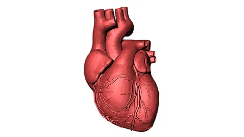 Cyanotic heart disease, a condition characterized by a hole in his heart, which has caused significant health issues over the years. (Representational Image: Pixabay)