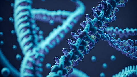 The research revealed that rare duplications and deletions within the 22q11.2 region, particularly involving genes associated with cardiac development, are involved in nonsyndromic bicuspid aortic valve disease patients.
(Representational image: Pixelbay)