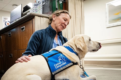 A recent study involving 64 hospital staff members found that interacting with therapy dogs three times a week for eight weeks led to immediate reductions in stress and emotional exhaustion. (KFF Health news)