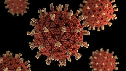 Authorities have confirmed two new human metapneumovirus (HMPV) cases in Jaipur on Thursday. (Representational Image: Unsplash)