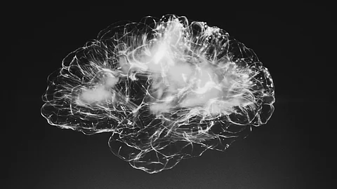 Adults who exercised regularly in midlife had a 28% lower risk of developing dementia later in life, according to a meta-analysis of prospective cohort studies. (Representative Image: Unsplash)