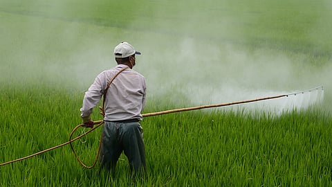 A man tragically passed away after neglecting to wash his hands following the application of pesticides on his farm. (Representational Image: Pixabay)