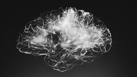 Brain imaging shows amyloid buildup linked to WTC exposure, highlighting cognitive risks. (Unsplash)