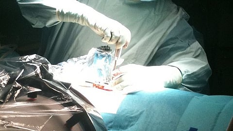 Dr. Sprengelmeyer reportedly discontinued the medication, allowing the MRSA infection to spread unchecked. (Wikimedia Commons)