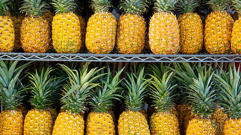 Let's explore why pineapple bites back and what's really going on when you eat it.