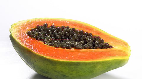 Carica papaya holds a key potential in lowering cholesterol and supporting eye health.