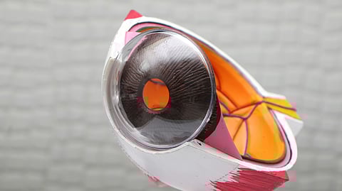 Upon inspection, it was discovered that a worm had infiltrated his immune system and was located in his eye.