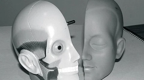 New neural network model, researchers at WashU in St. Louis have a better tool to uncover.