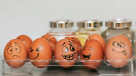 A new study has found that eating eggs supports heart health and reduces the risk of premature death.