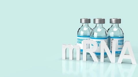 A combination of mRNA and a new lipid nanoparticle could help heal damaged lungs, according to new research.