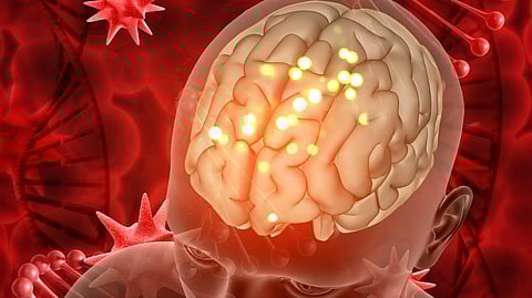 Researchers found that older adults with normal levels of vitamin B12 have shown cognitive decline and brain damage.