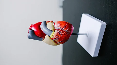 Heart disease remains the leading cause of death among men and women across most racial and ethnic groups in the US.
