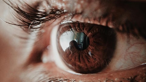 Brown Human Eye
