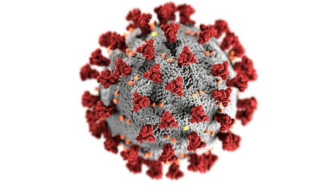 H5N1 avian influenza neeed better drugs