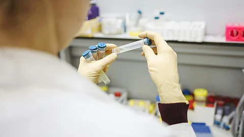 Person Holding Test Tubes