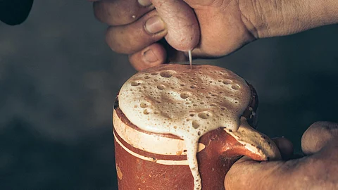 Close-Up Photo of a Person's Hands Milking a Cow