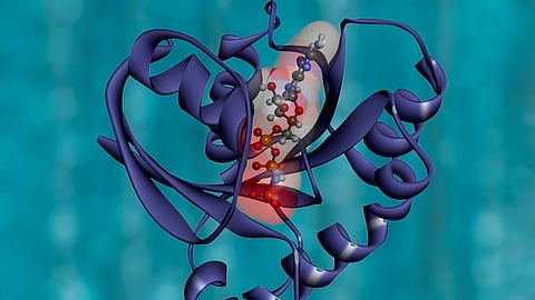 Illustration of body cell targeting antigens.