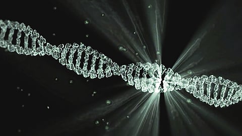 A representational image of DNA.