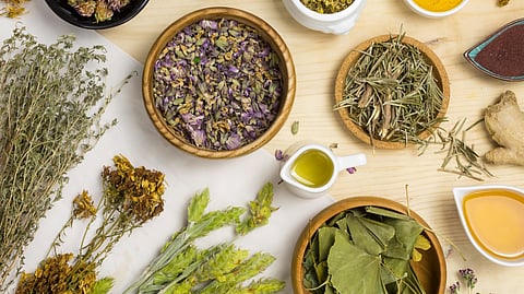 A group of Herbal supplements.