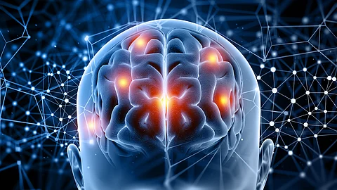 Illustrative image of human brain highlighted in different areas.