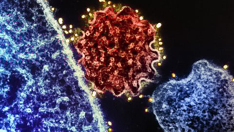 Microscopic color