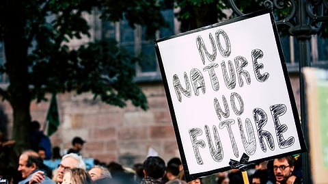 People Walking on Street