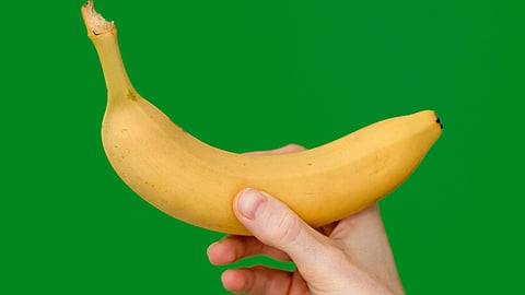 A person holding a banana
