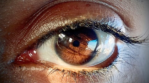 eye closeup shot