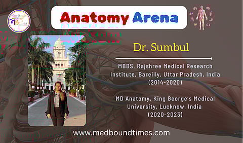 An image of Dr. Sumbul standing in front of King's George Medical College on the road wearing a black suit.