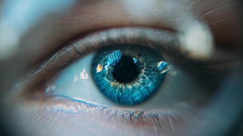 human eye