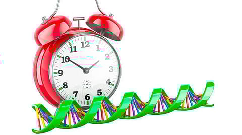 An alarm clock and DNA.