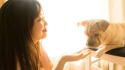 A woman with her hands towards her pet dog.