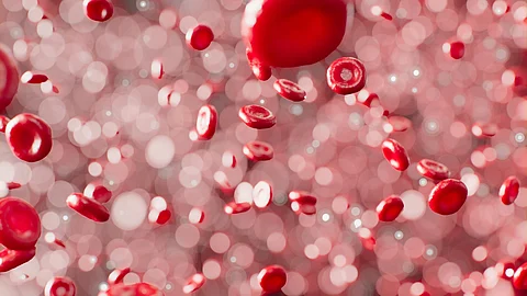 Red Blood Cells