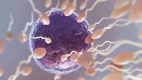 Beautiful fertility concept in 3d rendering