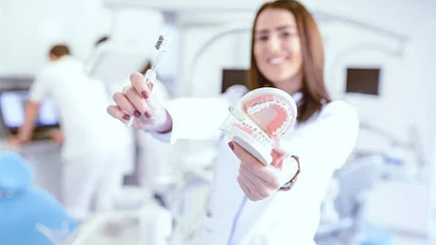 A dentist in a dental clinic is showing a dental model.