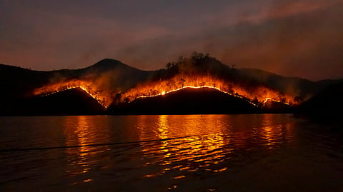 This image shows a big forest fire on a hill at night on the banks of a water body.