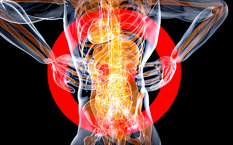 Musculoskeletal health is not just about recovering from injuries, it’s about creating a body that performs well, feels strong, and remains adaptable as we age.
