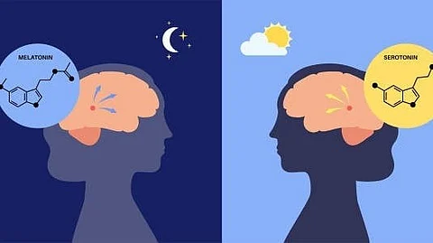 Diagram comparing melatonin (night) and serotonin (day) in the brain, illustrating their roles in sleep.