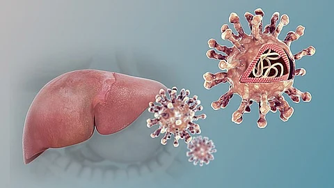 Illustration of a liver and hepatitis virus particles against a gradient background.