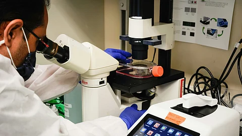 A researcher wearing a lab coat and gloves peers into a microscope, examining a petri dish on a lab counter.