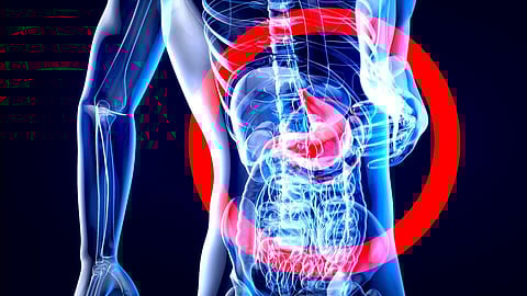 Image of the human body showing interconnected organs.