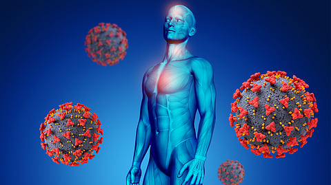 3 D image of male muscular figure and cells with immune indicator on the cell surface.