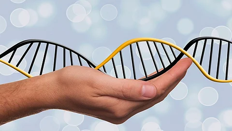 A human hand supporting a black and yellow DNA double helix on a grey background
