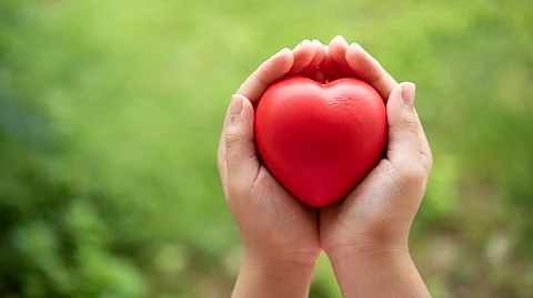 A pair of hands holding a model of human heart.