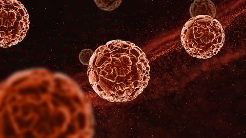 3D illustration of cancer cells under a microscope, representing the development of off-the-shelf immunotherapy for kidney cancer.