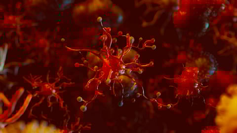 3D illustration of cancer cells spreading in the bloodstream, representing pancreatic cancer metastasis.
