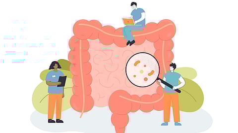 Representational graphics of team of doctors checking gut microbiome.