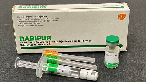 Louis Pasteur and Émile Roux created the first effective rabies vaccine.