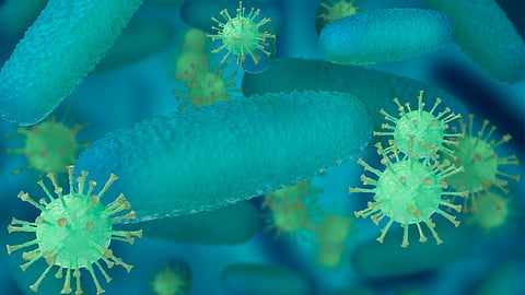 3-D illustration of virus and bacterial cells floating inside a human body.